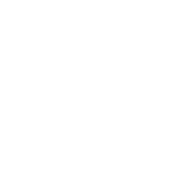 Download and Stream